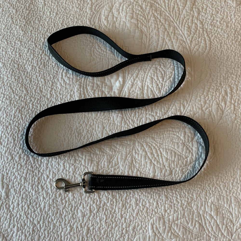 4’ dog leash with silver hardware